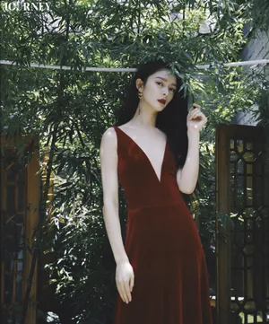 傅菁复古清新写真图片_8