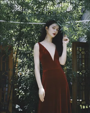 傅菁胶片风格大片写真图片_2