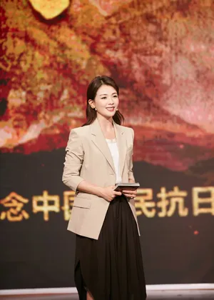 刘涛《海报里的英雄》温婉优雅图片_7