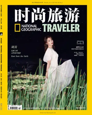刘涛绿野仙踪大片时尚写真_3