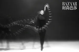 章子怡黑白武术大片写真图片