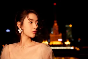 王玉雯薄纱裙唯美夜景写真图片_6
