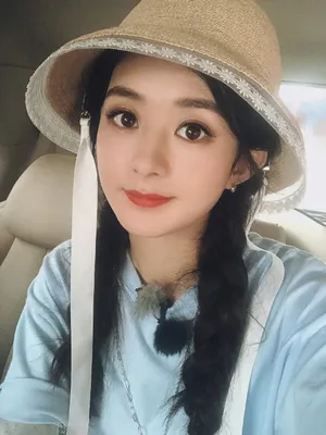 赵丽颖麻花辫造型自拍照图片_13