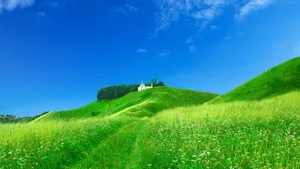 高清宽屏自然风景合集_17