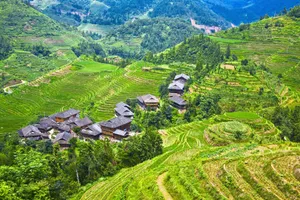 桂林龙胜龙脊梯田_9