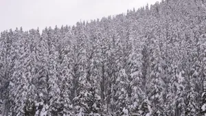 加拿大风景桌面壁纸_16