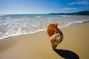 亚龙湾海滩_17