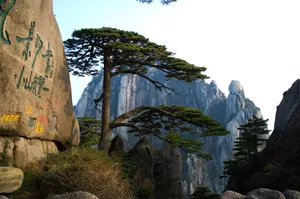 黄山国家地质公园风景_2