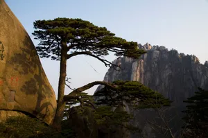 黄山国家地质公园风景_3