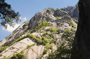 黄山国家地质公园风景_5