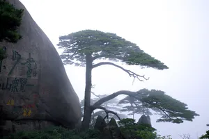 黄山国家地质公园风景_6