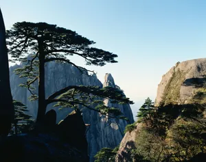 黄山国家地质公园风景_8
