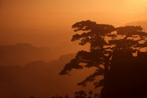 黄山国家地质公园风景_9