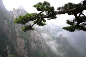 黄山国家地质公园风景_11
