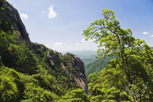 黄山国家地质公园风景_14