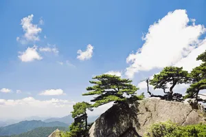 黄山国家地质公园风景_16