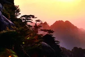 黄山景点云海桌面壁纸_5