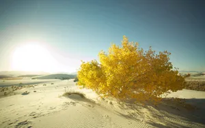 超高清30寸沙漠戈壁风景壁纸_7