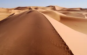 荒凉的沙漠戈壁风光_3
