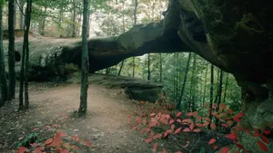 高清风景图片背景_15