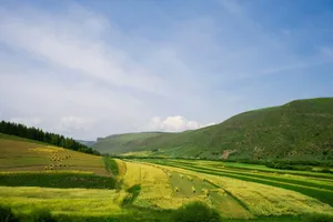 乌兰木统绿色风景壁纸_18