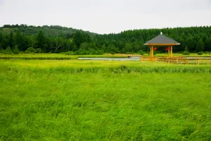 乌兰木统绿色风景壁纸_19