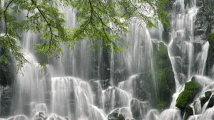自然美丽风景壁纸_2