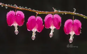 中国风景壁纸_11