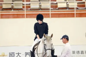 王琳凯《新手驾到》剧照图片_3