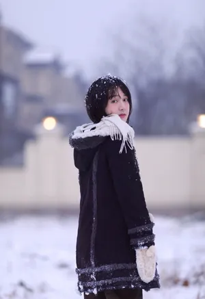 凌美仕清秀雪景写真图片_4