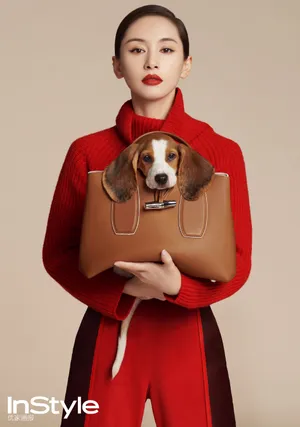 王子文萌犬可爱品牌代言图片