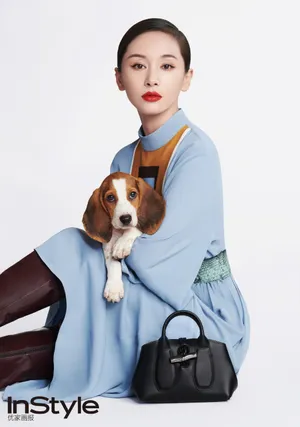 王子文萌犬可爱品牌代言图片