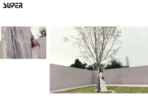 吴佳怡优雅时尚写真图片_6
