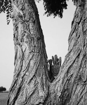 田原绿裙清秀自然风写真图片_5
