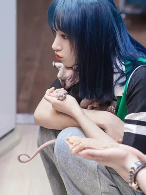 程潇奇妙爬宠世界写真图片_5