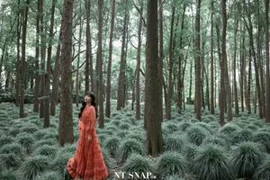 阚清子最新森系写真图片_6