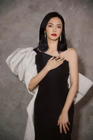 姚晨披风长裙优雅写真图片_4