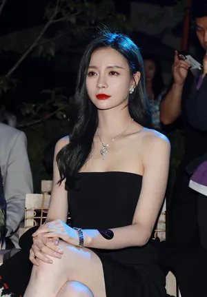 沈梦辰黑色抹胸裙红唇撩人活动照图片_4