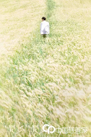 王源蓝天白云清新麦田写真图片