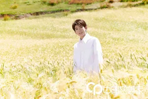 王源蓝天白云清新麦田写真图片