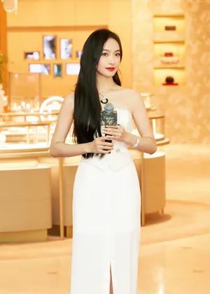 宋茜卡地亚品牌活动照图片_5