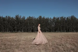 Angelababy钻石鎏金裙性感图片写真