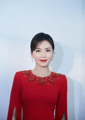 刘涛红色礼服端庄性感写真_3