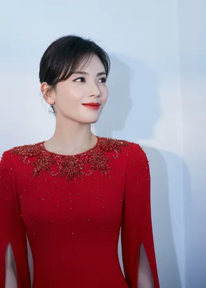 刘涛红色礼服端庄性感写真_4