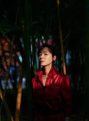张静初红色长裙优雅写真图片_5