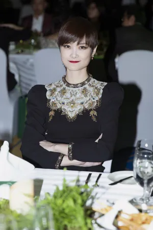李宇春金色花卉刺绣礼服性感图片写真_8