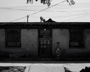 雎晓雯“蕾虎黄河”主题大片写真图片_1