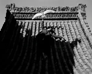 雎晓雯“蕾虎黄河”主题大片写真图片_9