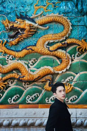 许魏洲琉璃影壁大片写真图片_2