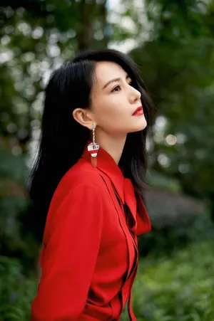 高圆圆红唇红裙明艳性感写真图片